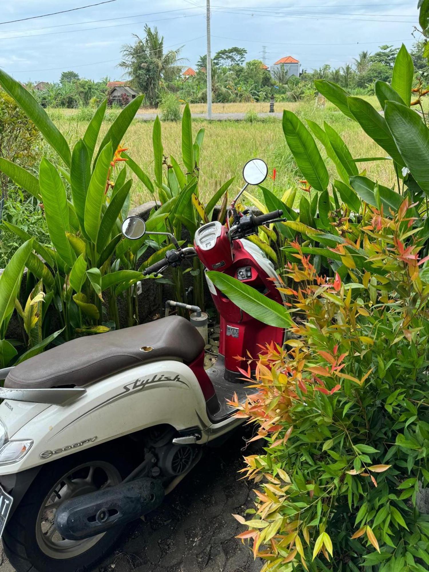 Mandala Rengganis Ubud View Private Villa By Eps Екстериор снимка