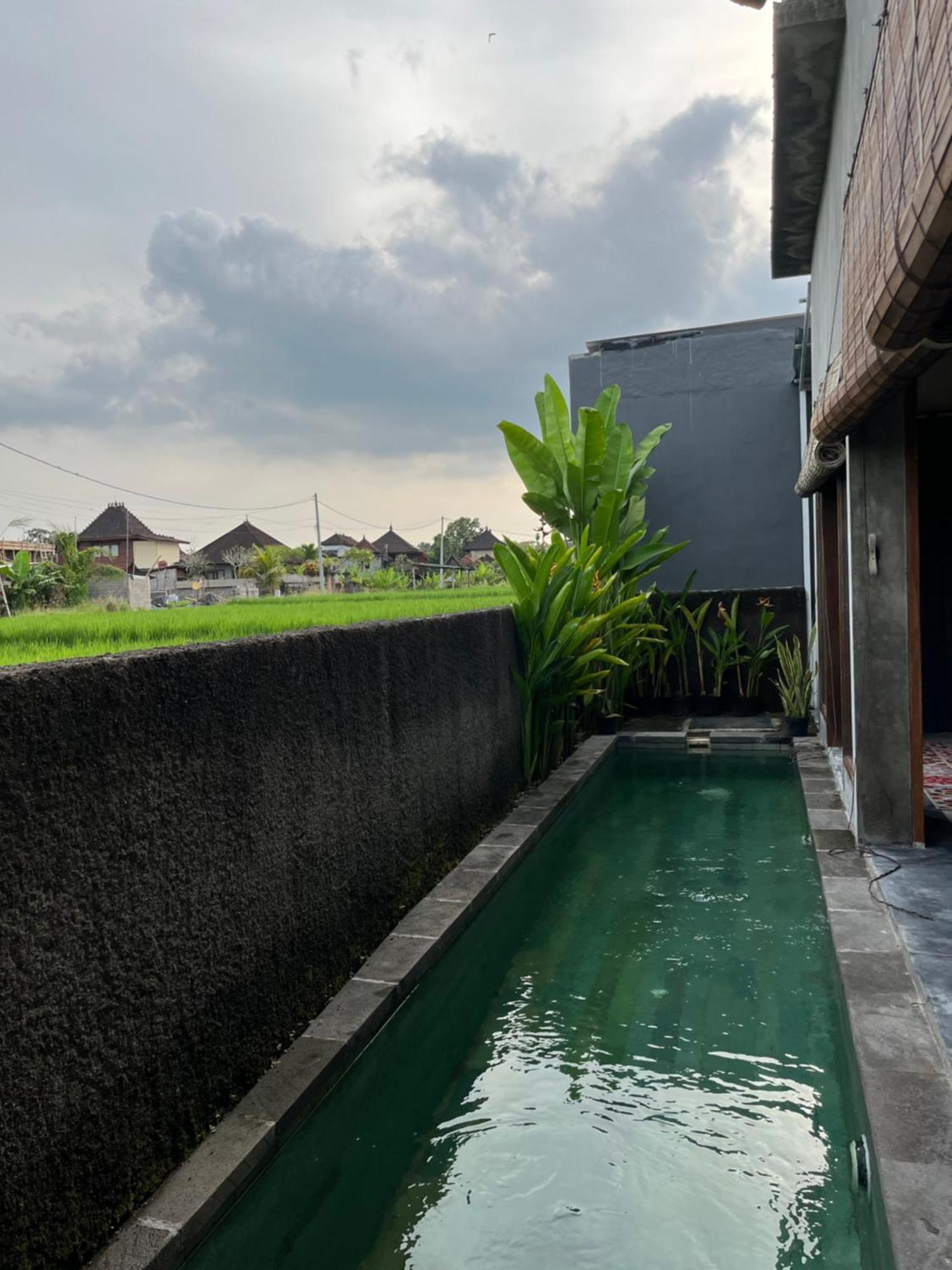 Mandala Rengganis Ubud View Private Villa By Eps Екстериор снимка
