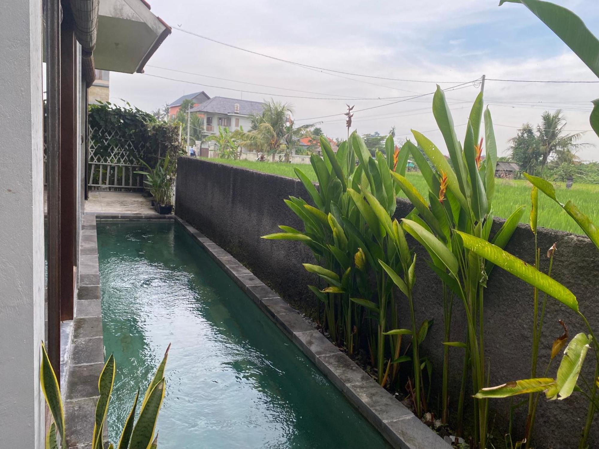 Mandala Rengganis Ubud View Private Villa By Eps Екстериор снимка