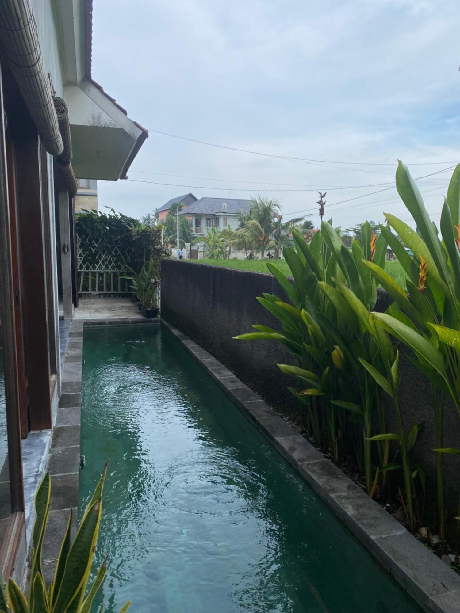 Mandala Rengganis Ubud View Private Villa By Eps Екстериор снимка